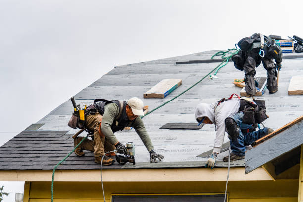 Professional Storm Damage Roof Repair technician working in Popejoy, IA